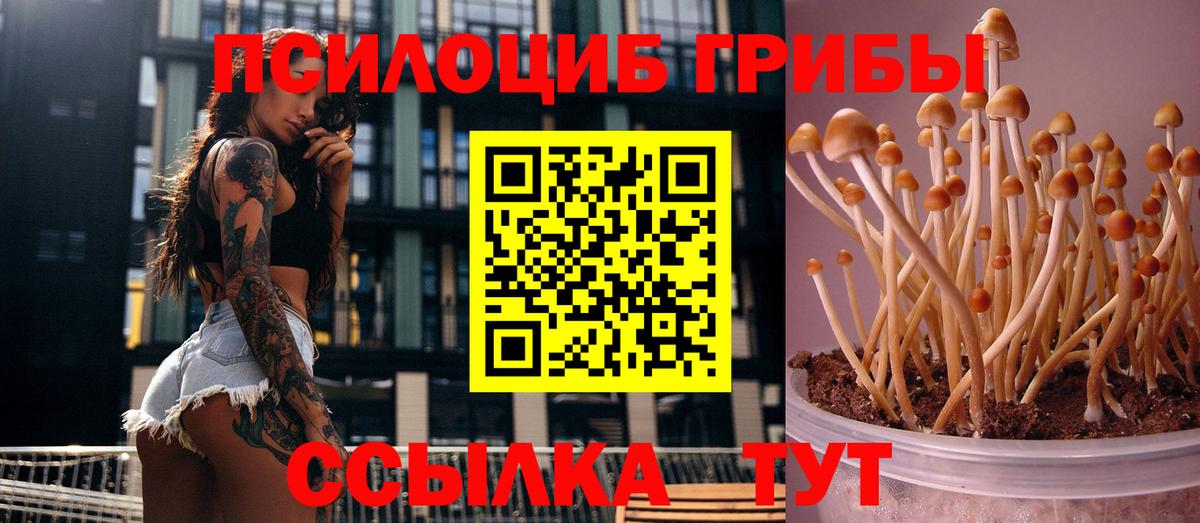 Галлюциногенные грибы Cubensis Корсаков